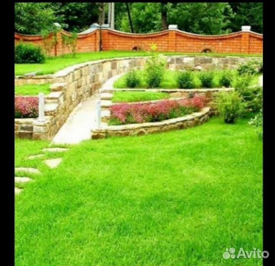 Газонная травосмесь premium