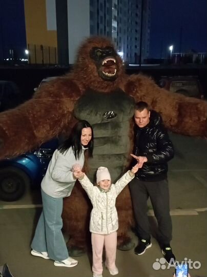 Поздравление Белого мишки, Гориллы, Панды, Кота