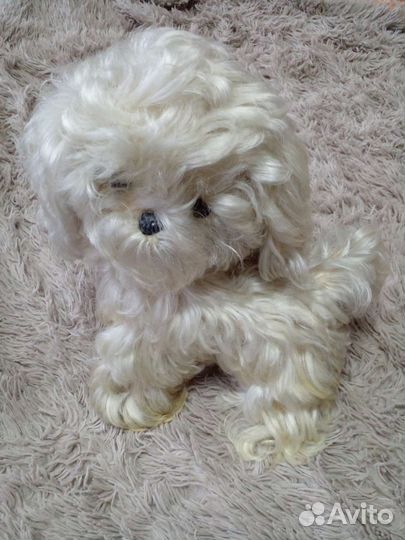 Игрушка собака СССР