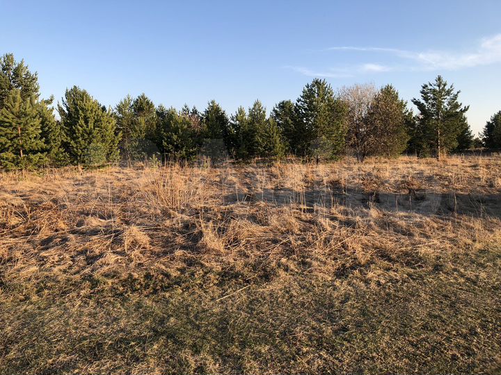 Участок 15 сот. (ИЖС)