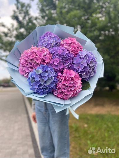 Гортензия микс (гидрангея). Букет цветов