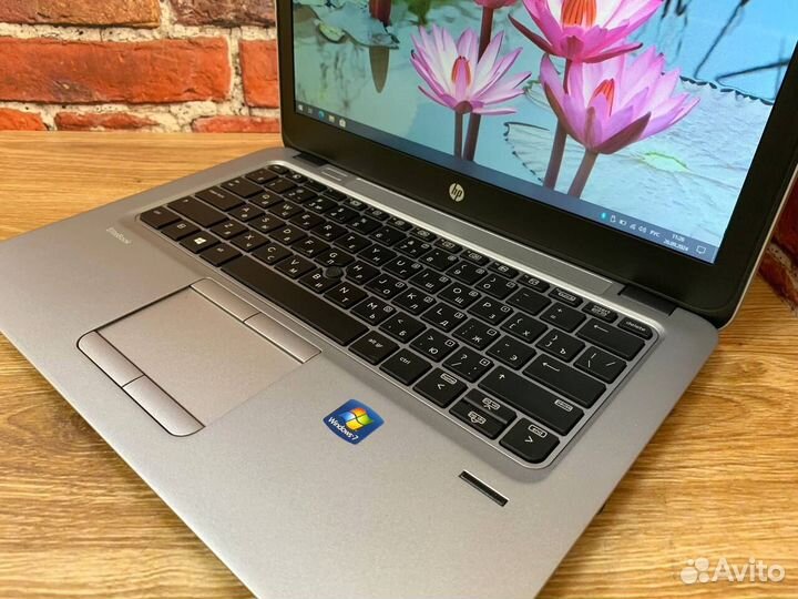 HP EliteBook 725 для работы учебы игр Ноутбук 12