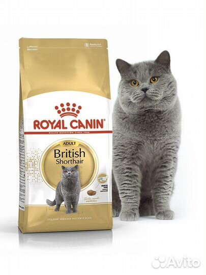 Корм Роял Канин для кошек