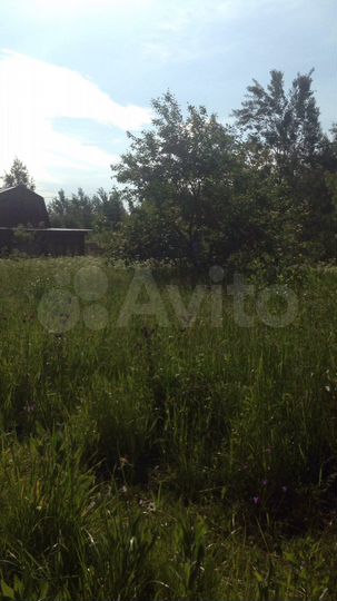 Участок 8 сот. (СНТ, ДНП)