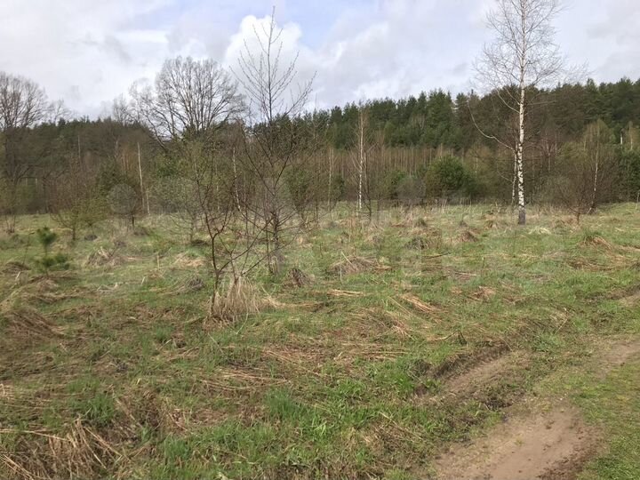 Участок 6,77 га (СНТ, ДНП)