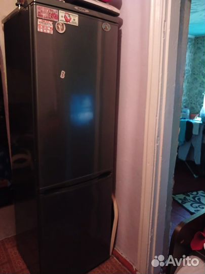 Холодильник Don