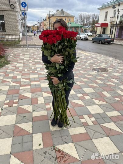 Розы 160 см