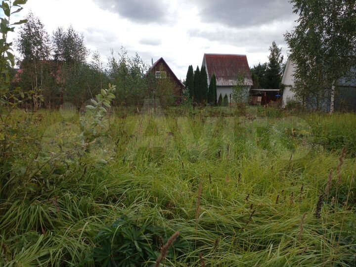Участок 8 сот. (СНТ, ДНП)