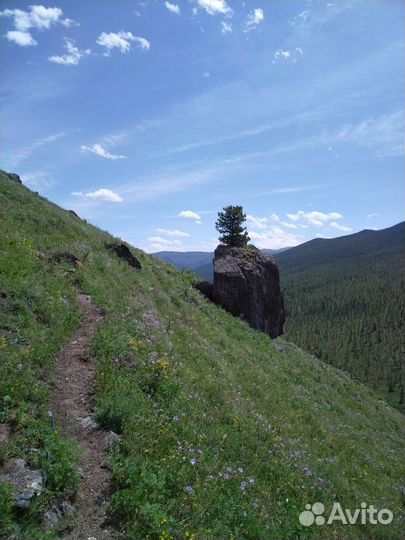 Отдых в горах и рыбалка