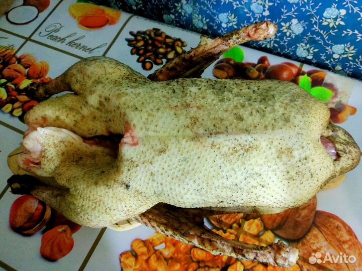 Продам гусей на племя или на мясо