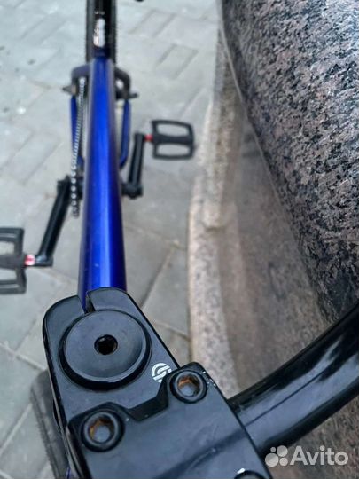 BMX WTP custom 2019