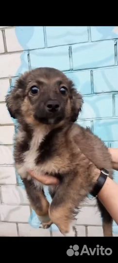 Классная девочка