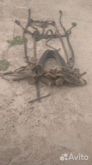 Упряжь для лошади