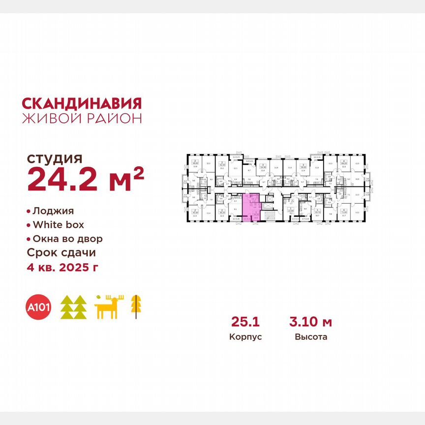 Квартира-студия, 24,2 м², 12/14 эт.