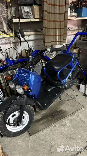 Honda zoomer