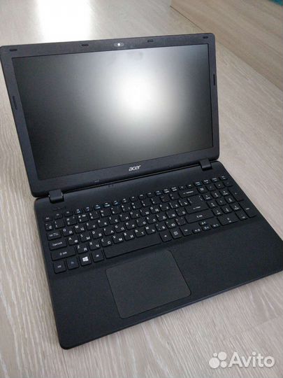 Acer extensa 2519