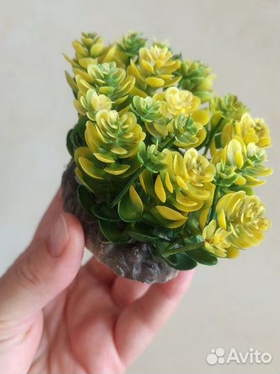 Декор для аквариума