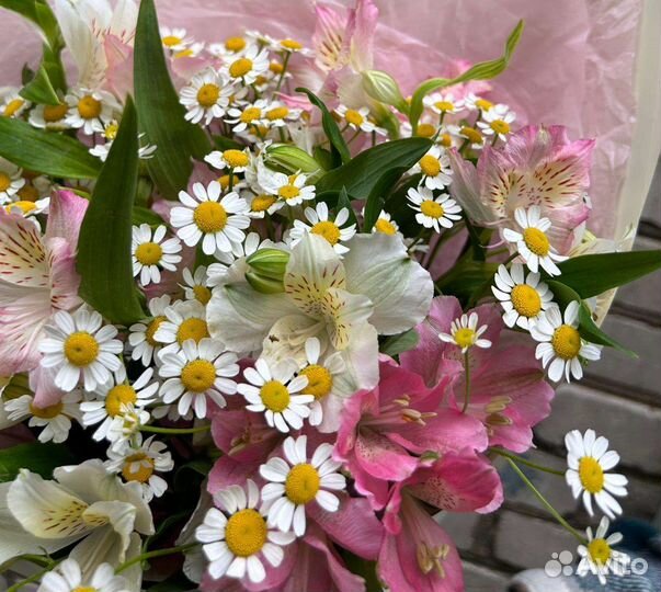 Букет из ромашек и альстромерии