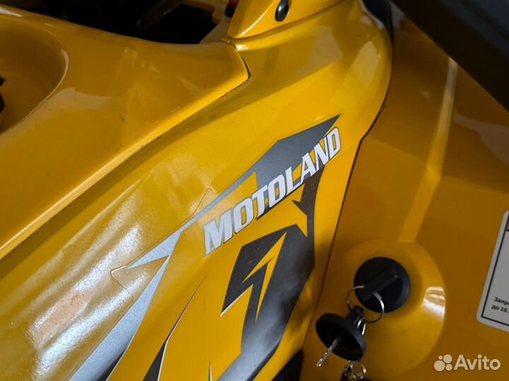 Motoland 200 wild track X (баланс. вал)
