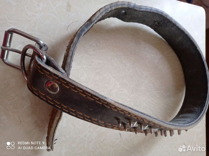 Амуниция для собак
