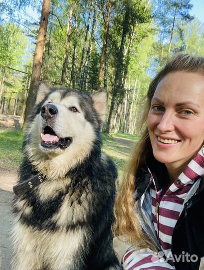 Передержка животных на время отпуска