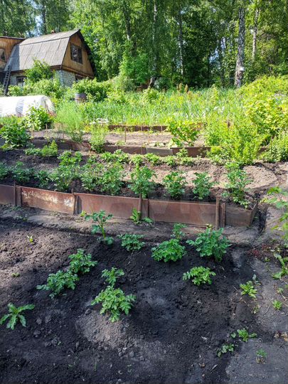 Участок 7 сот. (СНТ, ДНП)