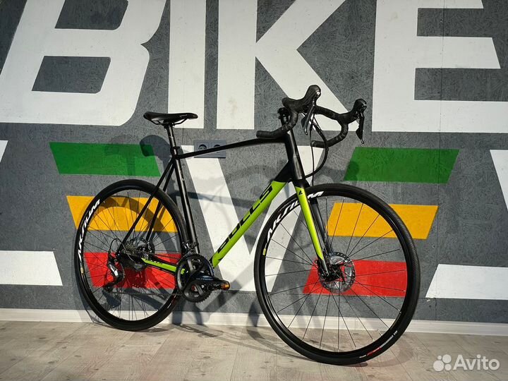 Endurance Bulls Harrier 2 Disc full Ultegra 2х11