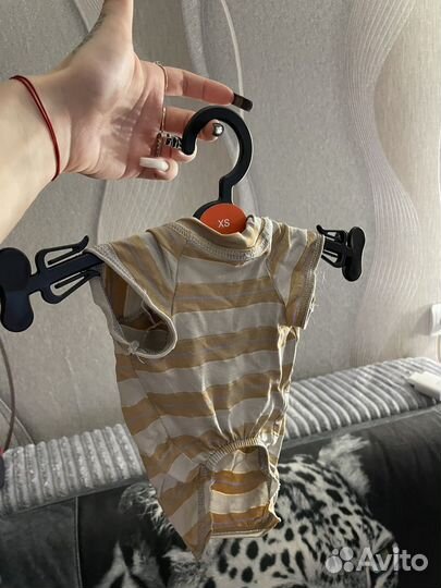 Одежда для котят и собак маленькой породы