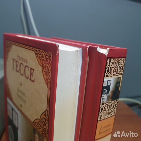 Книга Демиан Гертруда