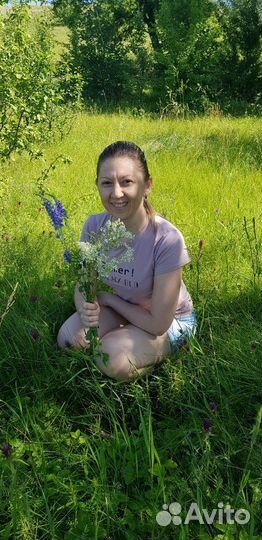 Администратор