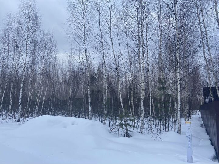 Участок 15 сот. (ИЖС)