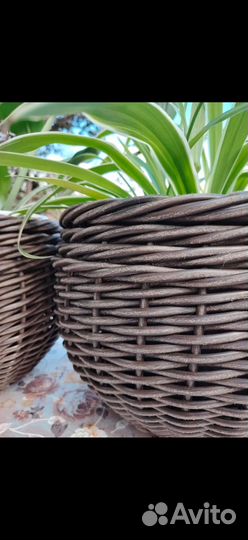 Кашпо из ротанга