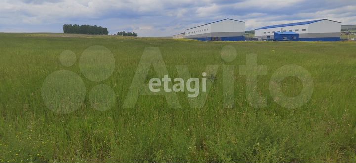 Участок 100 сот. (СНТ, ДНП)