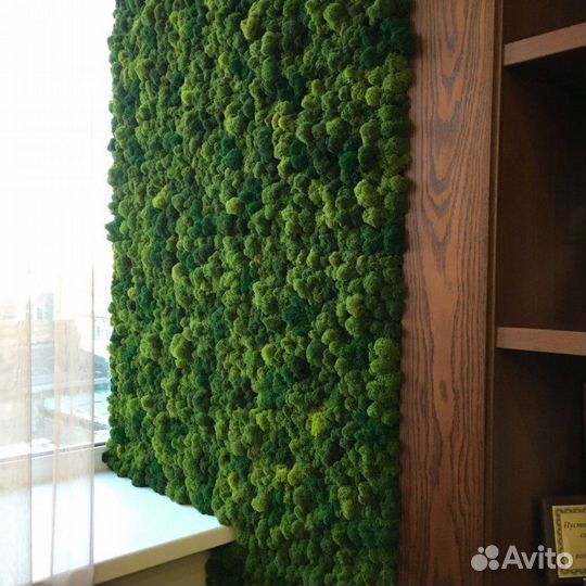 Панно из стабилизированного мха