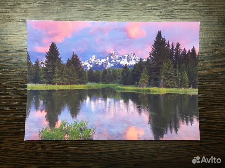 Фото на заказ