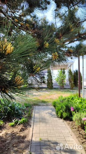 База отдыха у моря