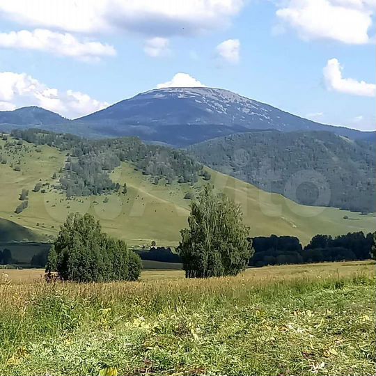 Участок 82 га (СНТ, ДНП)