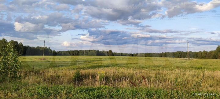 Участок 50 га (СНТ, ДНП)