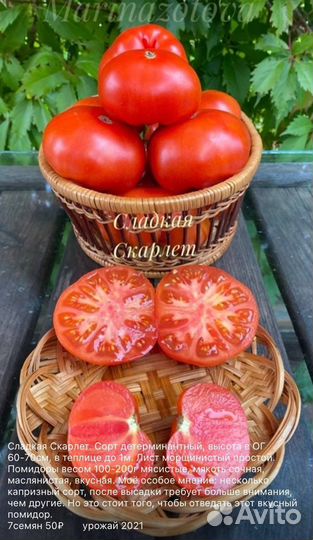 Семена томатных гномов. Dwarf Tomato Project