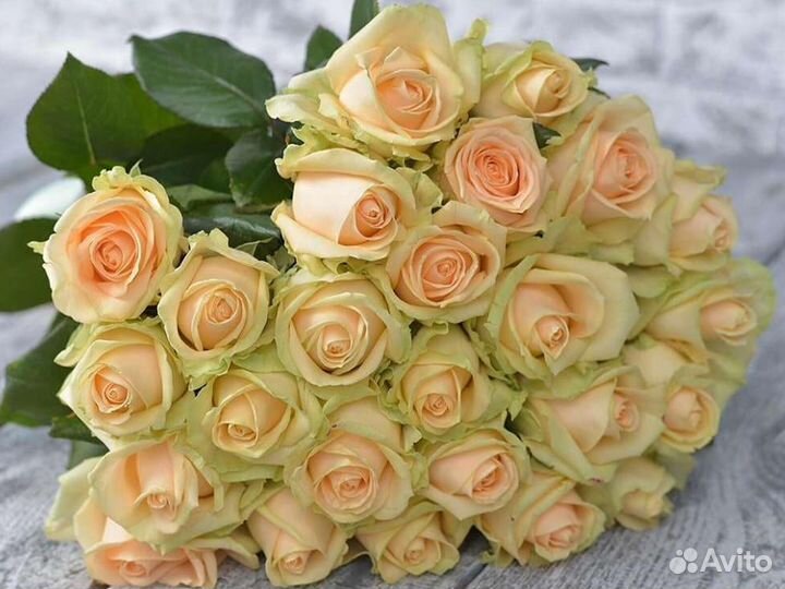 25 роз Букеты 15 25 35 51 101 Роза Доставка цветов