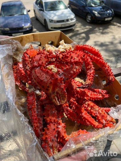 Клешни камчатского краба/колючий краб