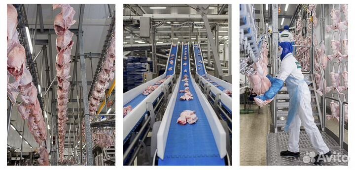 Разнорабочие в цех