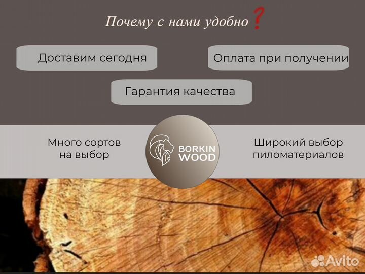 Планкен прямой лиственница