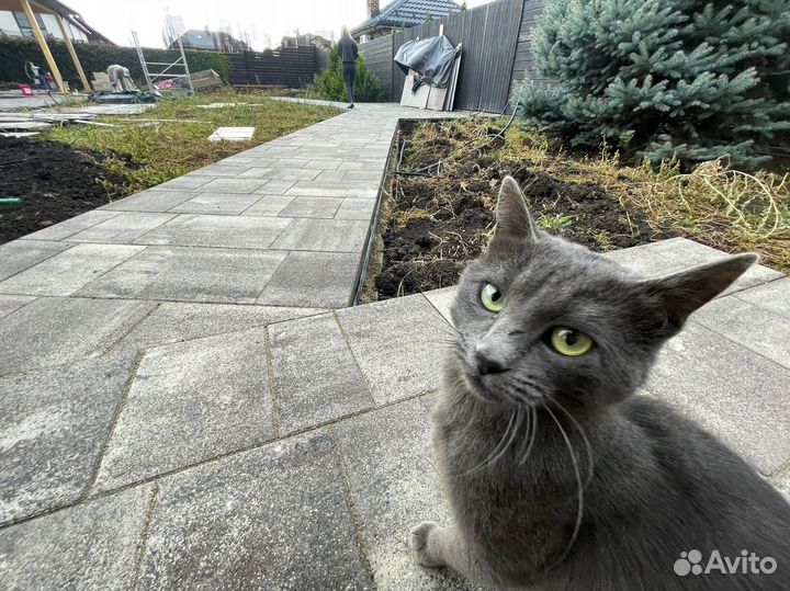 Тротуарная плитка, брусчатка, доставка