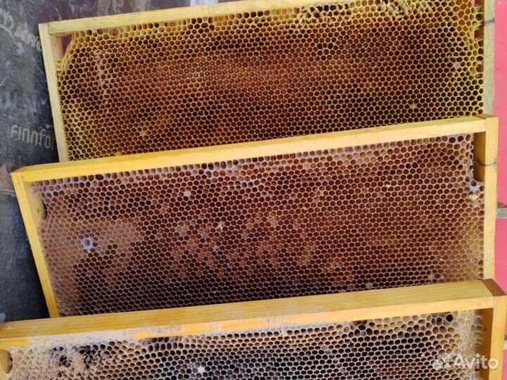 Сушь для пчел