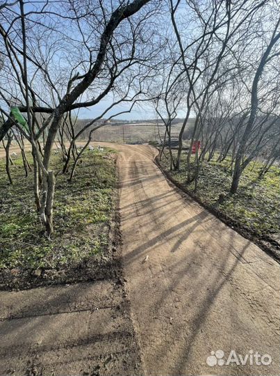 Благоустройство участка, расчистка леса