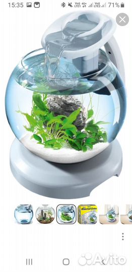 Аквариум