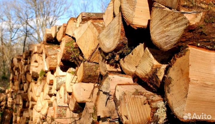 Дрова в область