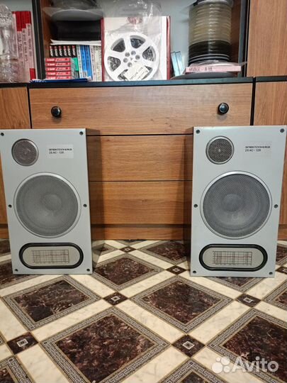 Акустика Электроника 25 ас-128