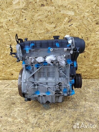 Двигатель pnda Ford Focus 2 1.6 115лс hxda